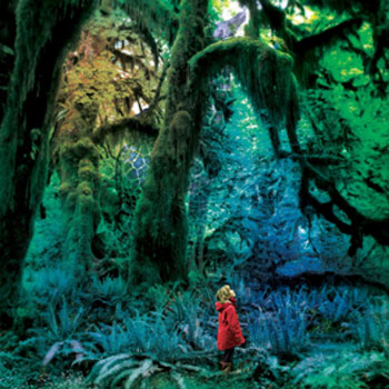 Jacco Gardner - Cabinet of Curiosities (Trouble In Mind)