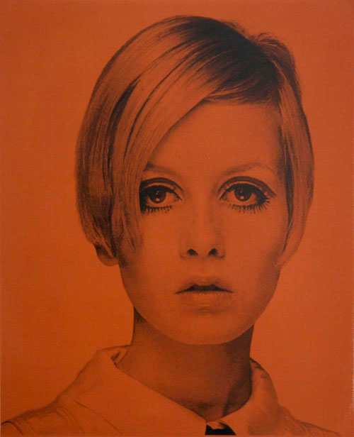 Twiggy I and Twiggy II silkscreen prints by David Studwell - Modculture