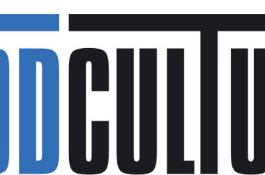 Support the Modculture website