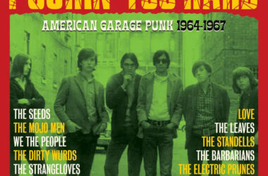 Pushin’ Too Hard - American Garage Punk 1964-1967 box set