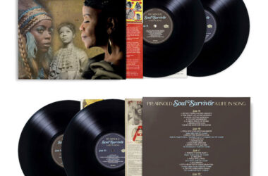 PP Arnold: Soul Survivor - A Life In Song vinyl and CD boxsets